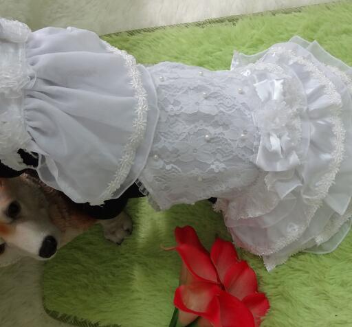 ウエディングドレス おしゃれな小型犬用犬服 ドッグウェア通販 Kankyou