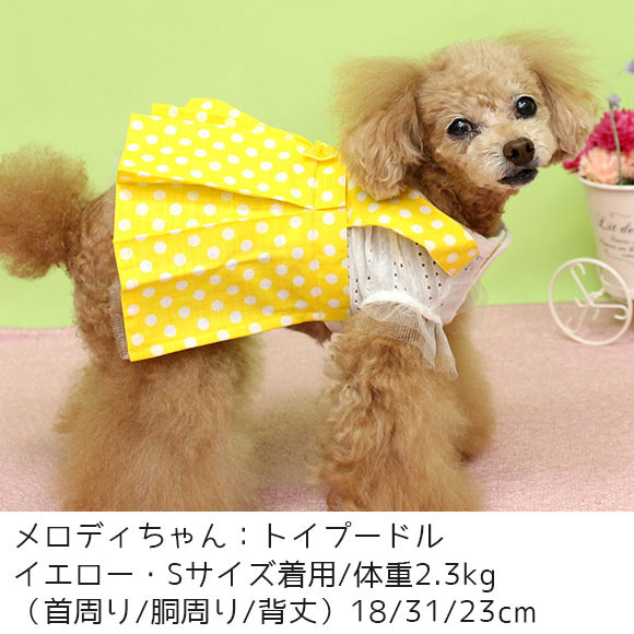 水玉ワンピース | おしゃれな小型犬用犬服・ドッグウェア通販【kankyou】